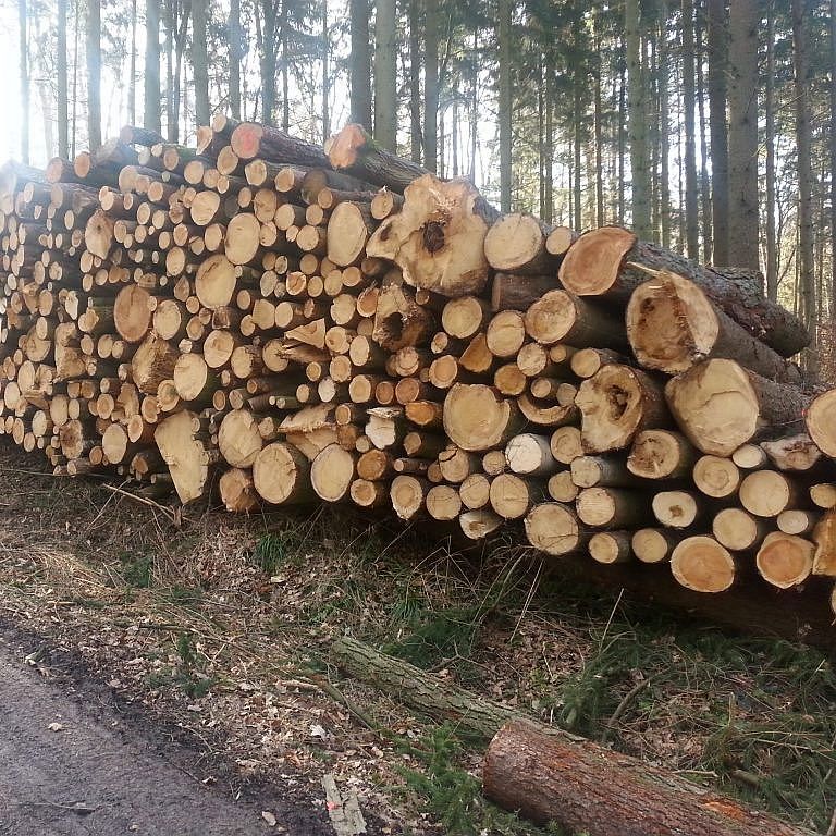 Mondphasenholz 4